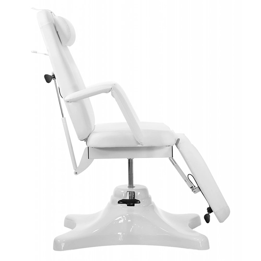 Pro Hydraulic Facial Spa Bed/Chair/Table