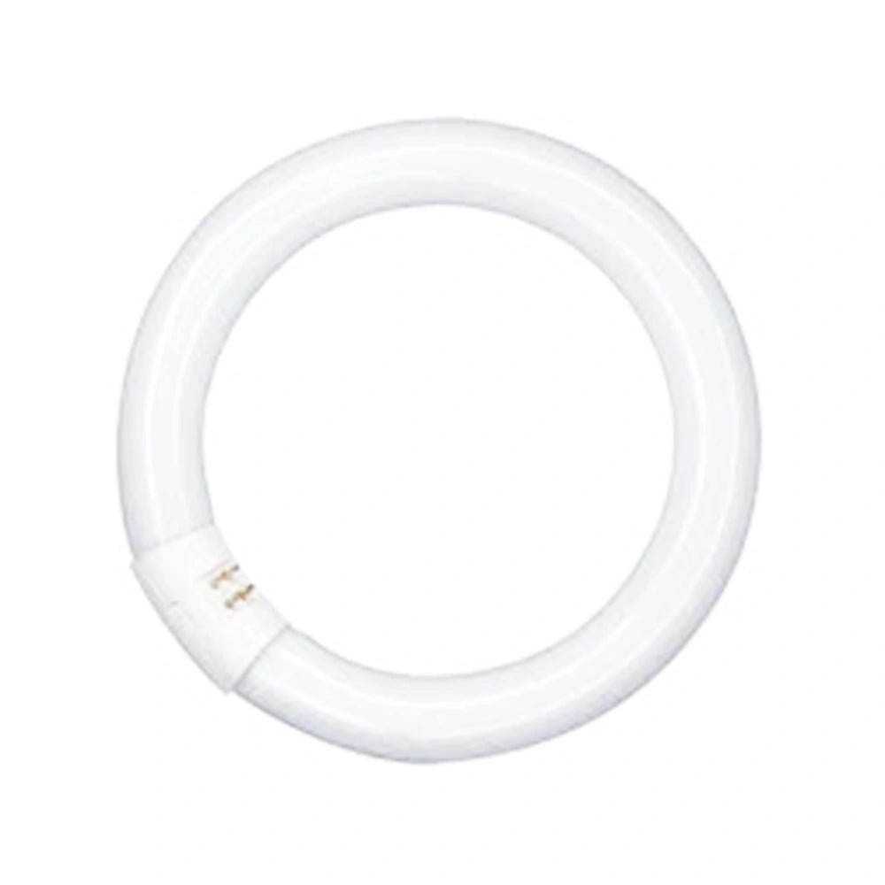 Round Magnifying Light Bulb